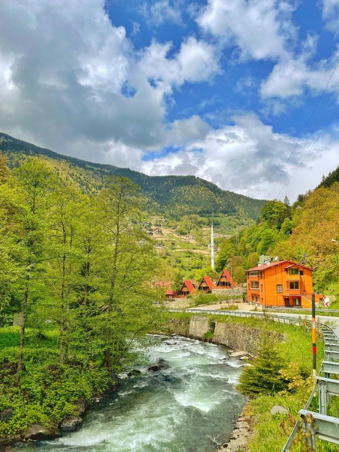 The Wooden House Uzungoel Uzungol Bagian luar foto